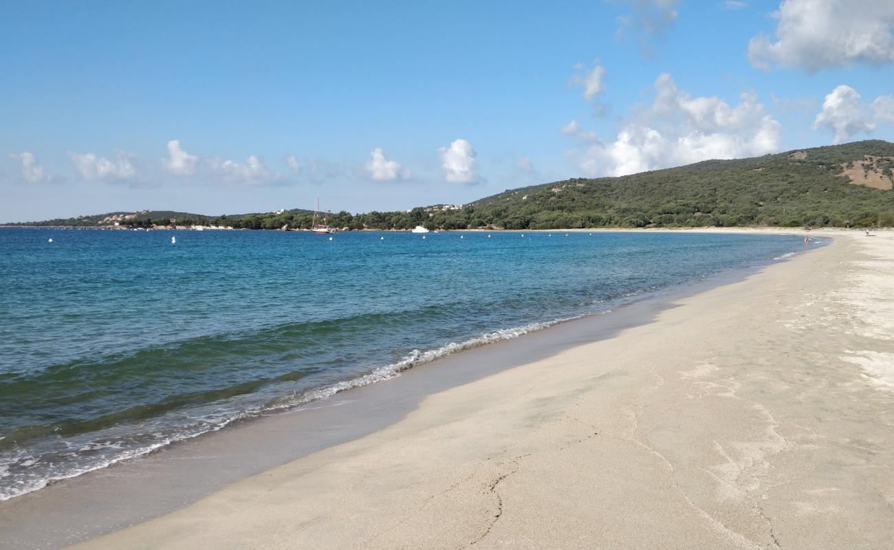 Photo of beach of Taravo with bright fine sand surface