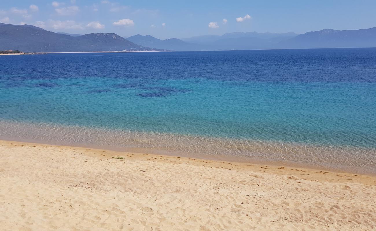 Photo of Porto Pollo beach with bright fine sand surface