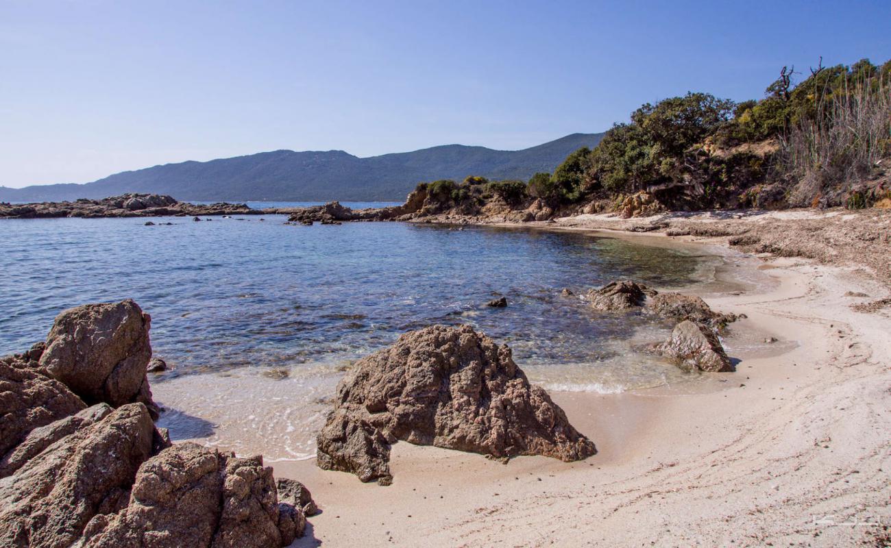 Photo of Capanella beach with bright sand & rocks surface