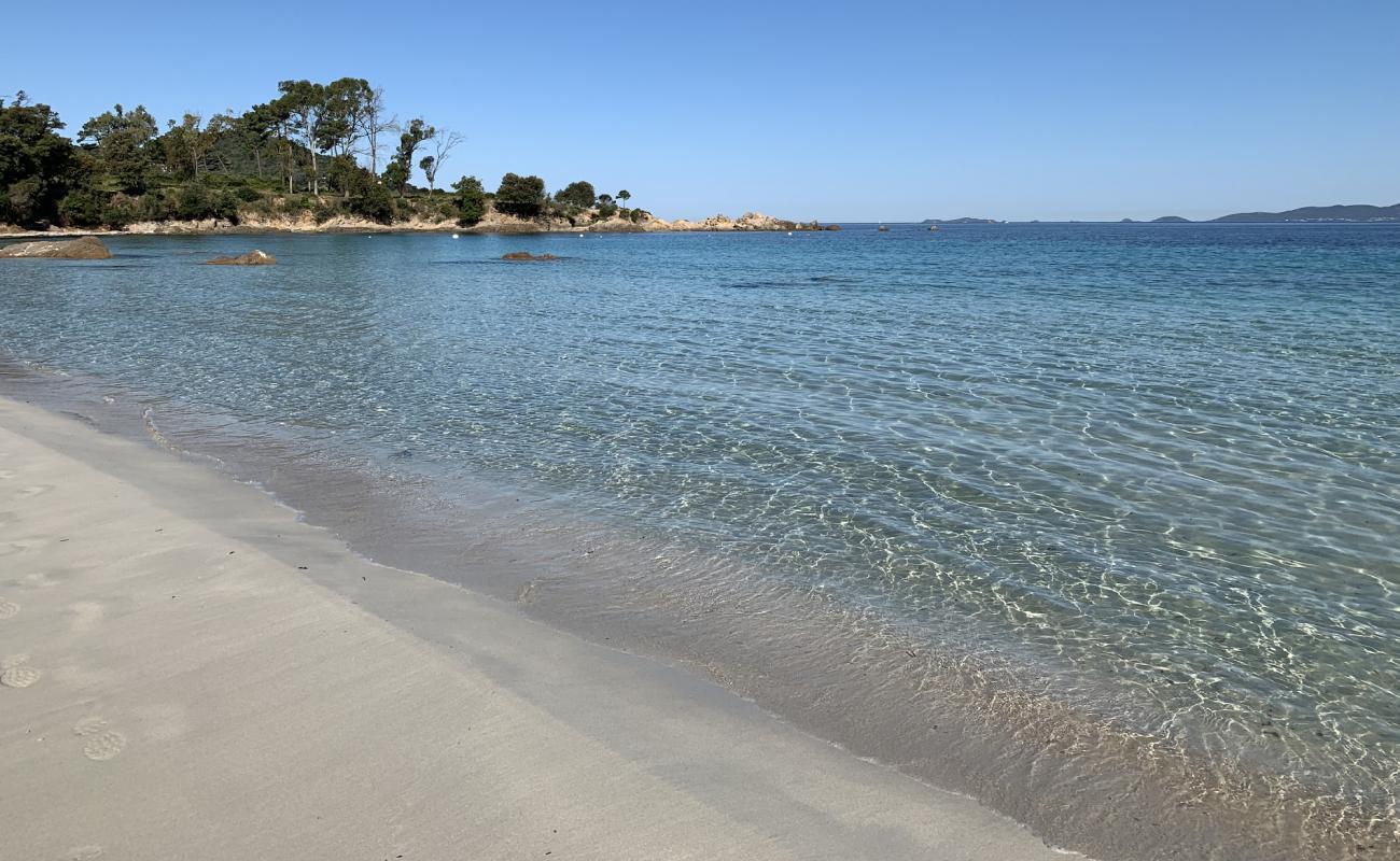 Photo of Mare E Sole beach with bright fine sand surface