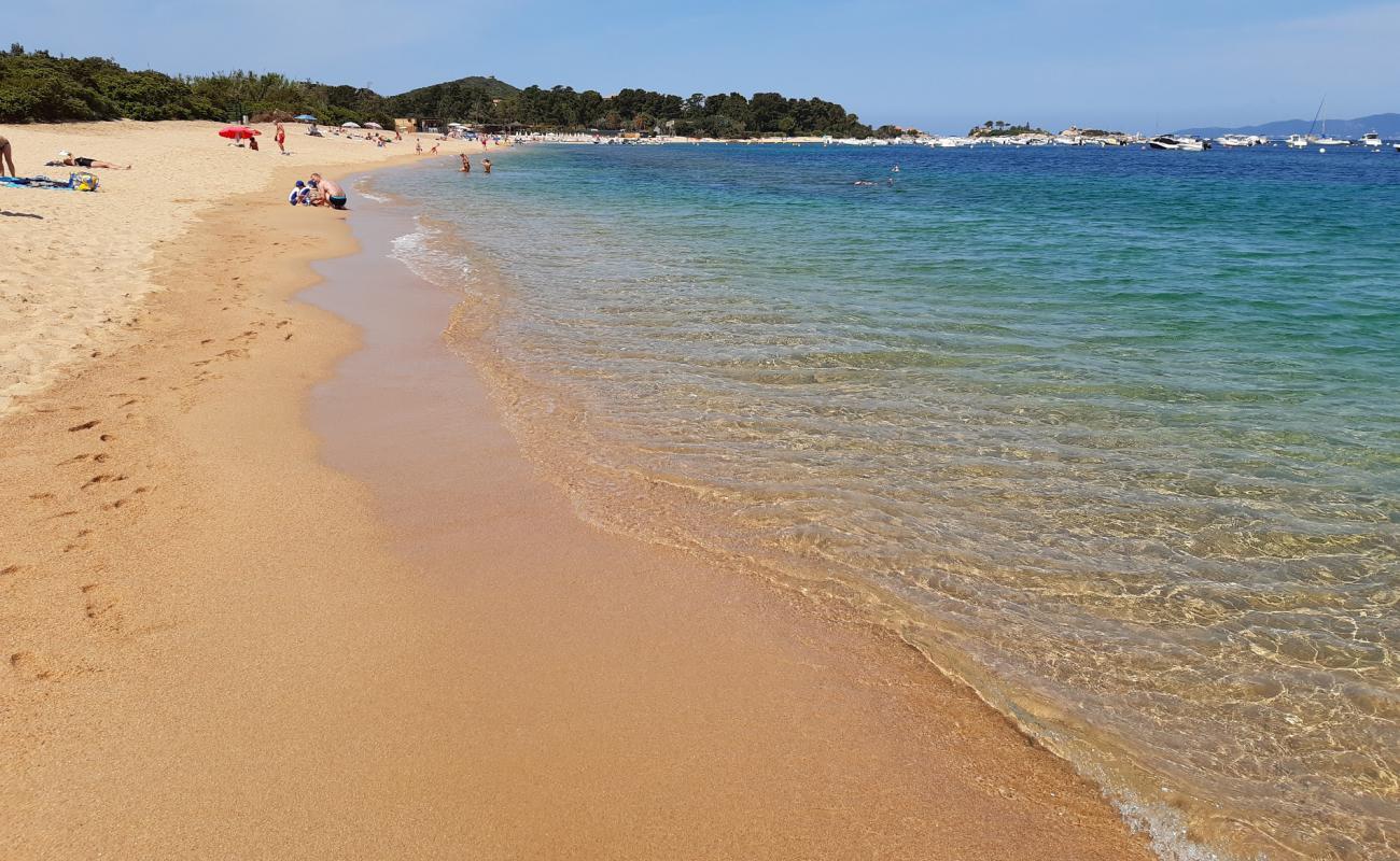 Photo of Isolella long beach with bright fine sand surface