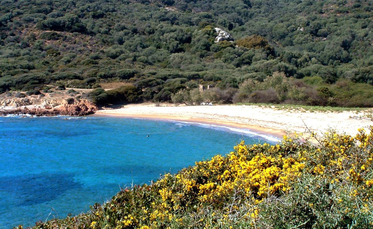 Photo of Cala Di Fico with bright sand surface