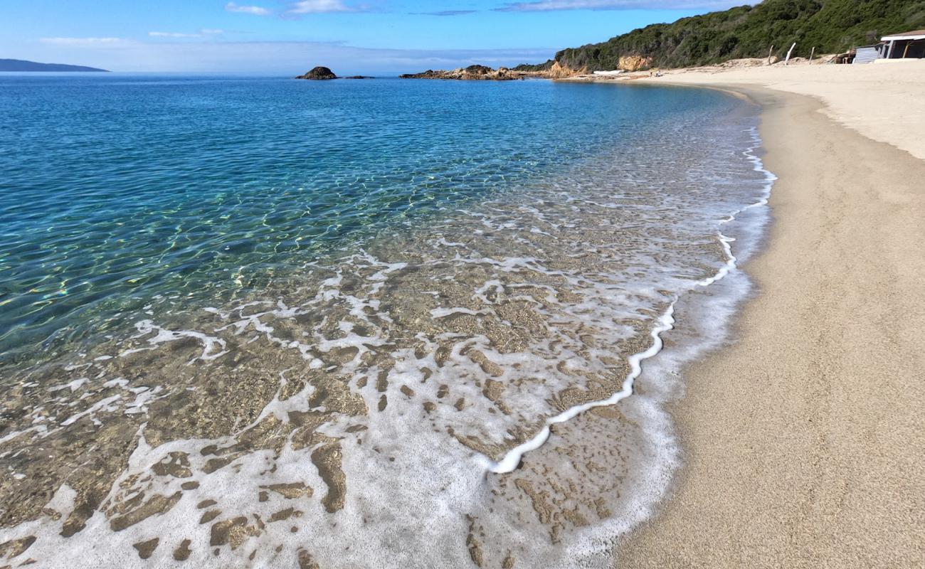 Photo of Liamone beach with bright fine sand surface