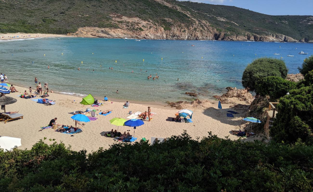 Photo of Arone beach with bright fine sand surface