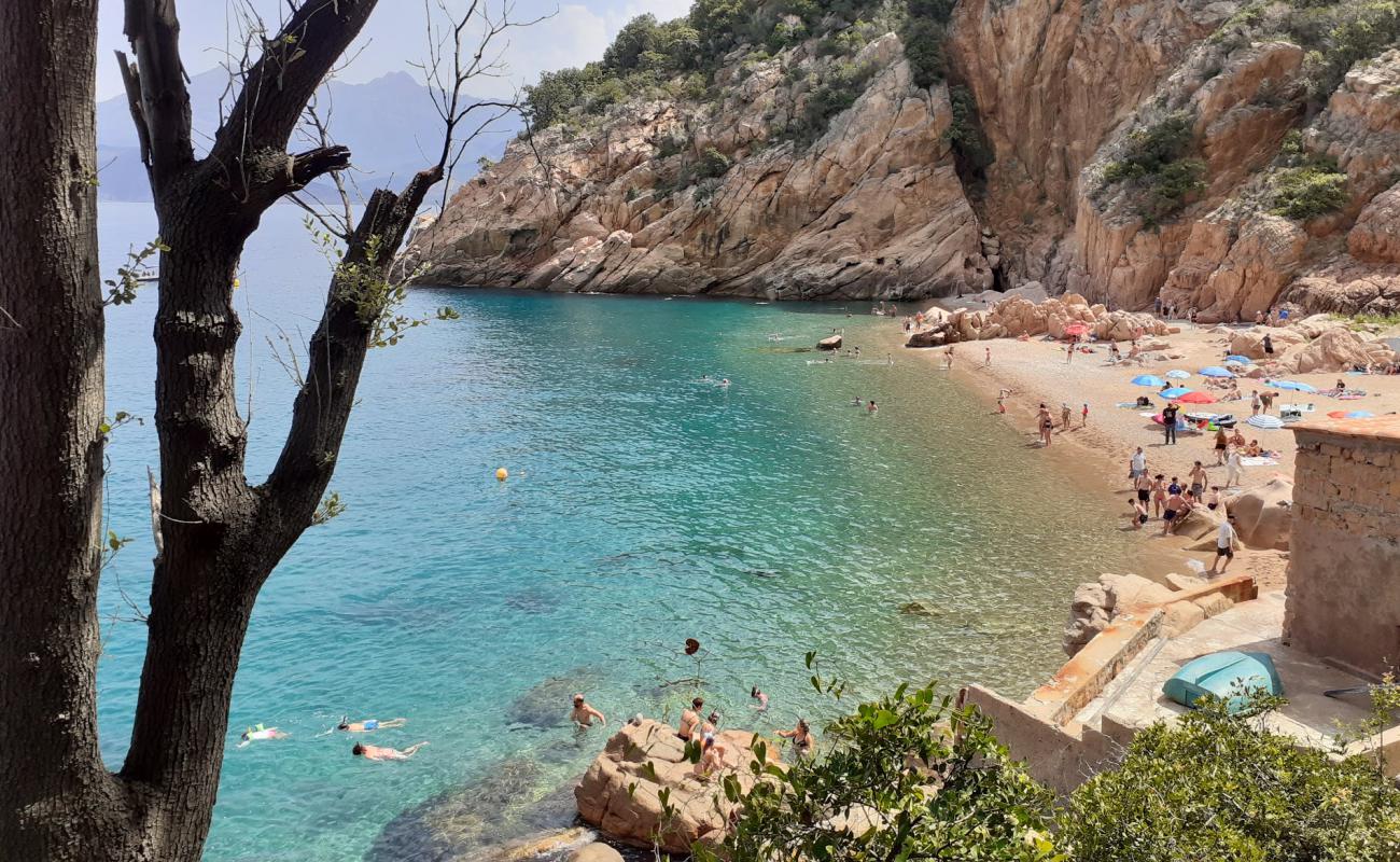 Photo of Ficaghjola beach with light fine pebble surface