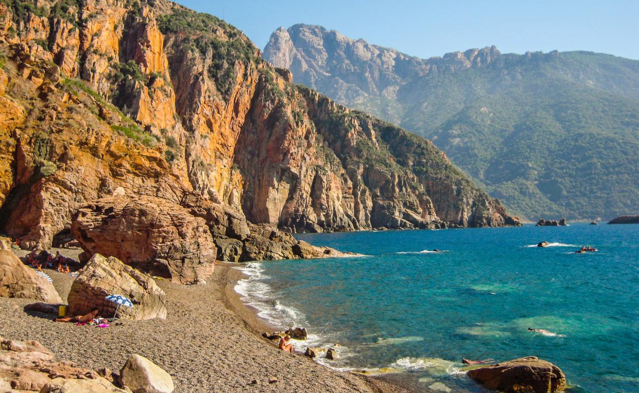 Photo of Bussaglia beach with brown pebble surface