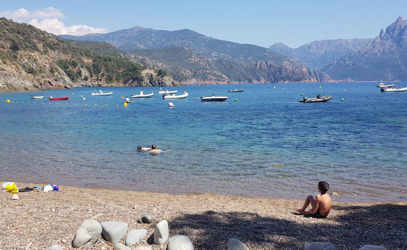 Photo of Punta Di Latone beach with light pebble surface