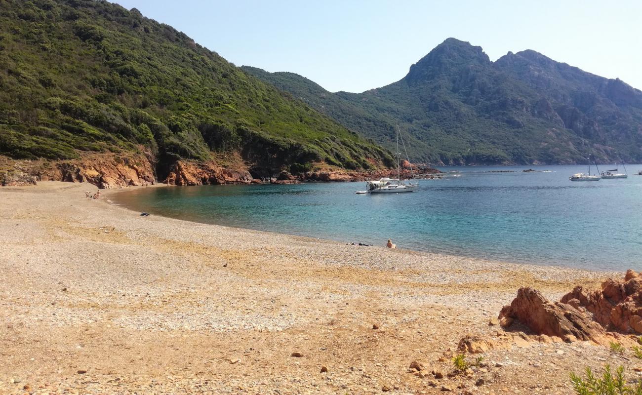 Photo of Osani beach with very clean level of cleanliness