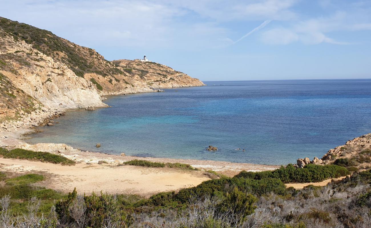 Photo of Oscelluccia beach with light pebble surface