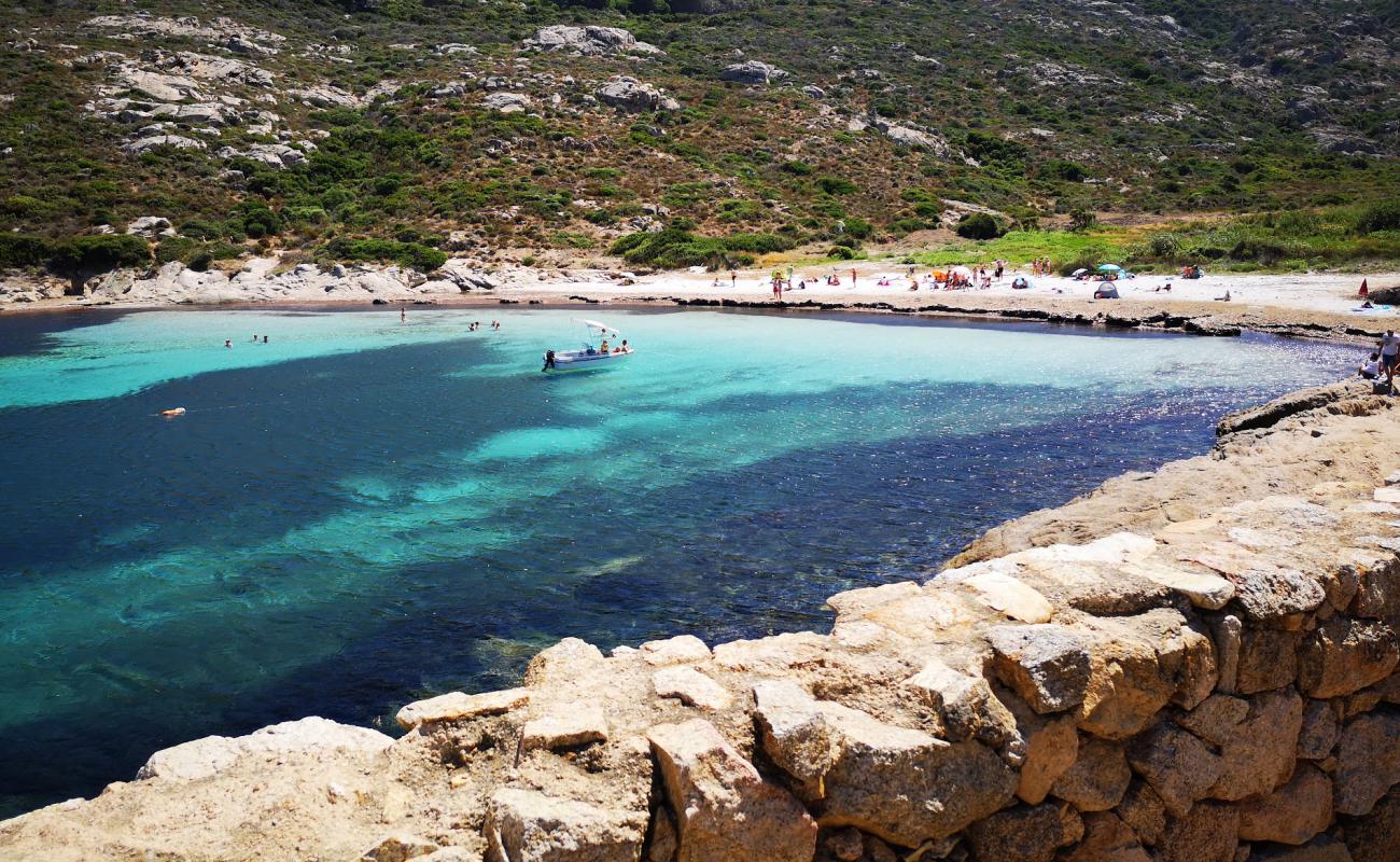 Photo of Alga beach with bright sand surface