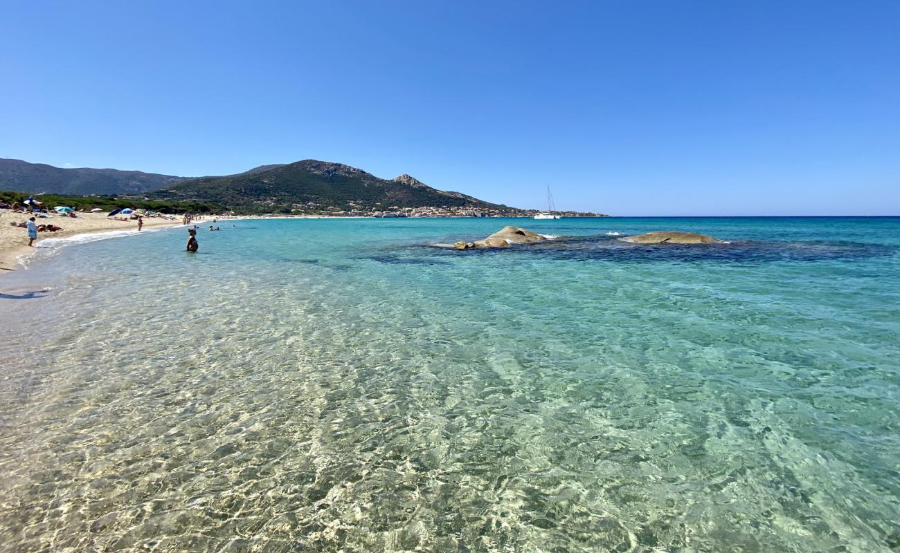 Photo of Aregno beach with bright sand surface