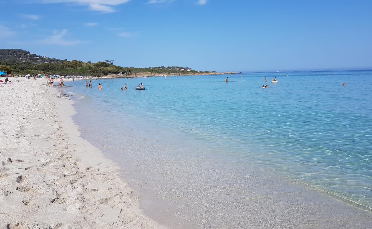 Photo of Ghjunchitu beach with bright fine sand surface