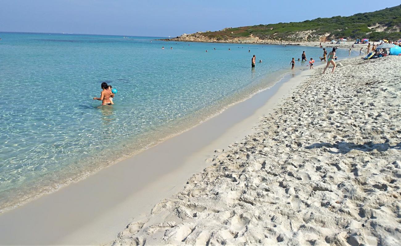 Photo of Bodri Beach with bright fine sand surface