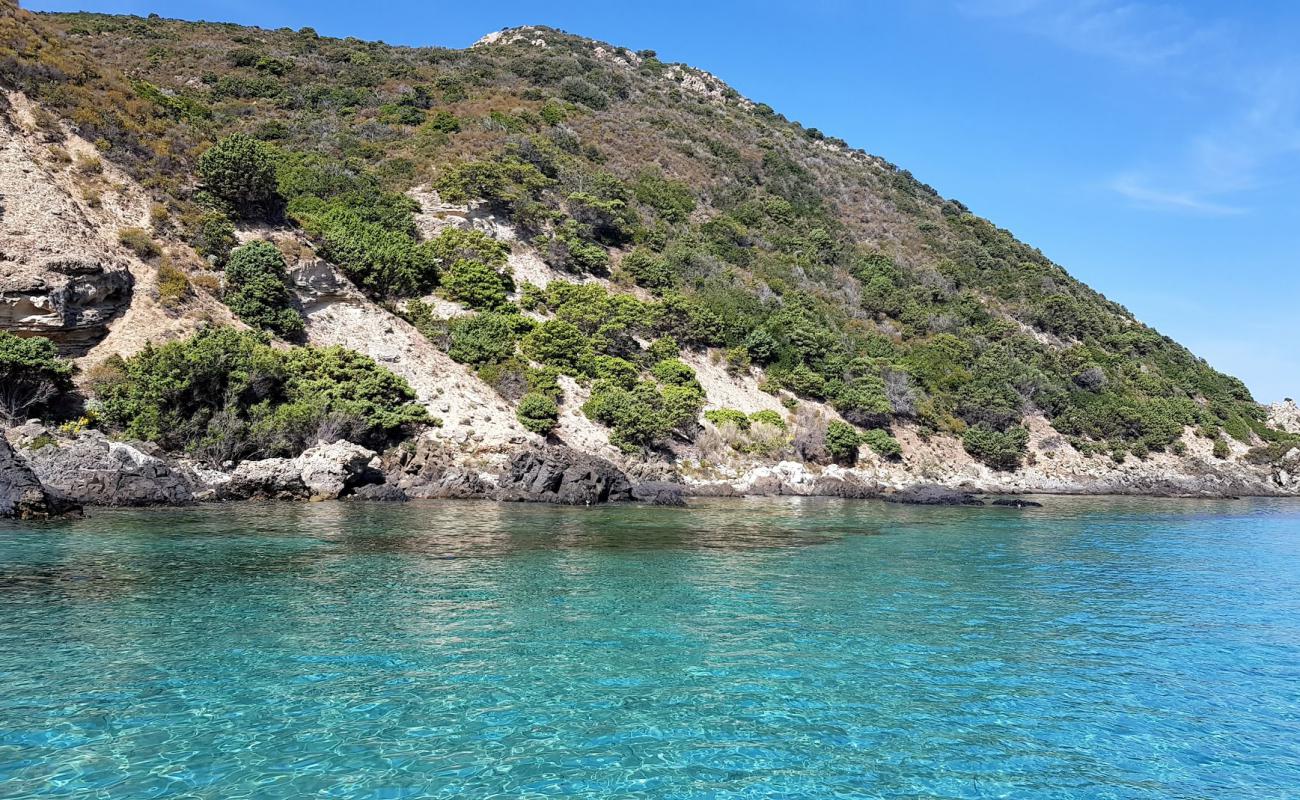 Photo of Acciola beach with bright sand surface