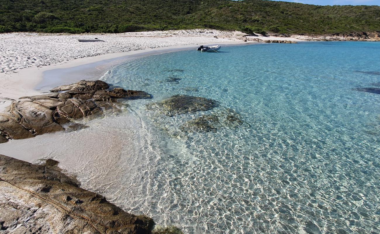 Photo of Trave beach with bright fine sand surface