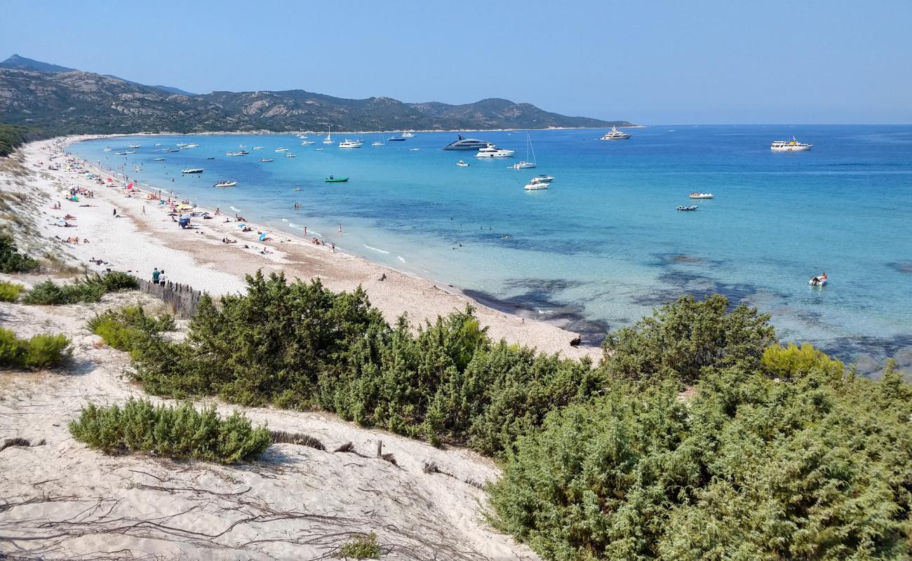 Photo of Saleccia Beach with bright fine sand surface