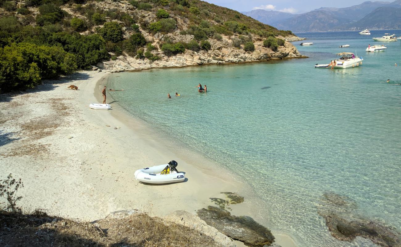 Photo of Fiume Santo with bright sand surface