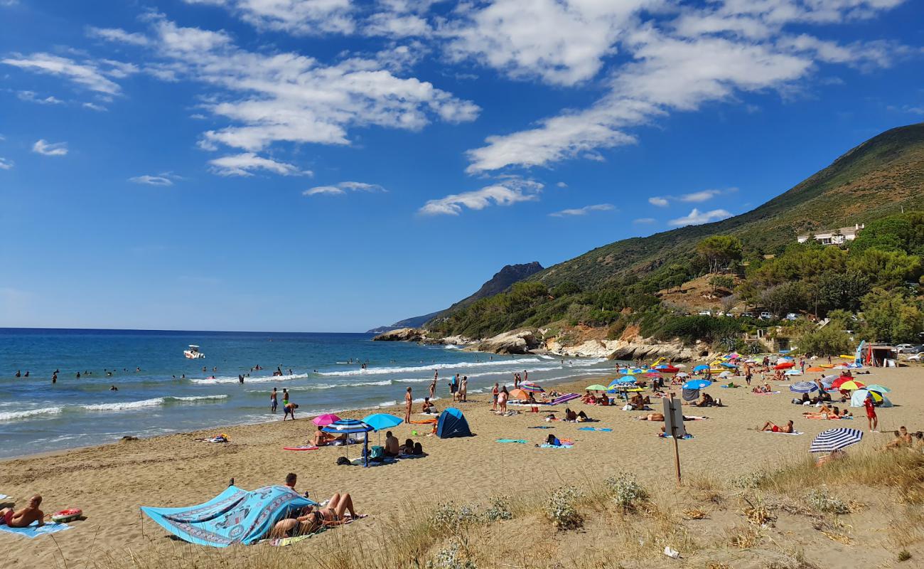 Photo of Farinole beach with bright sand surface