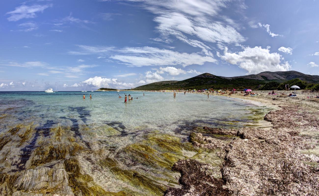 Photo of Barcaggio beach with bright sand surface