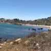 Cala Sderenaia beach