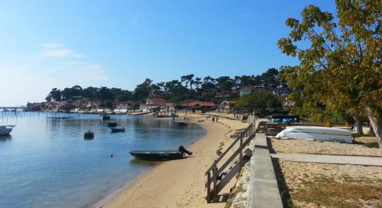 Plage de la Vigne