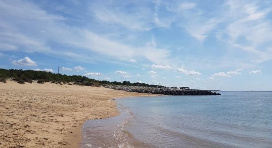 Plage de la Palmyre