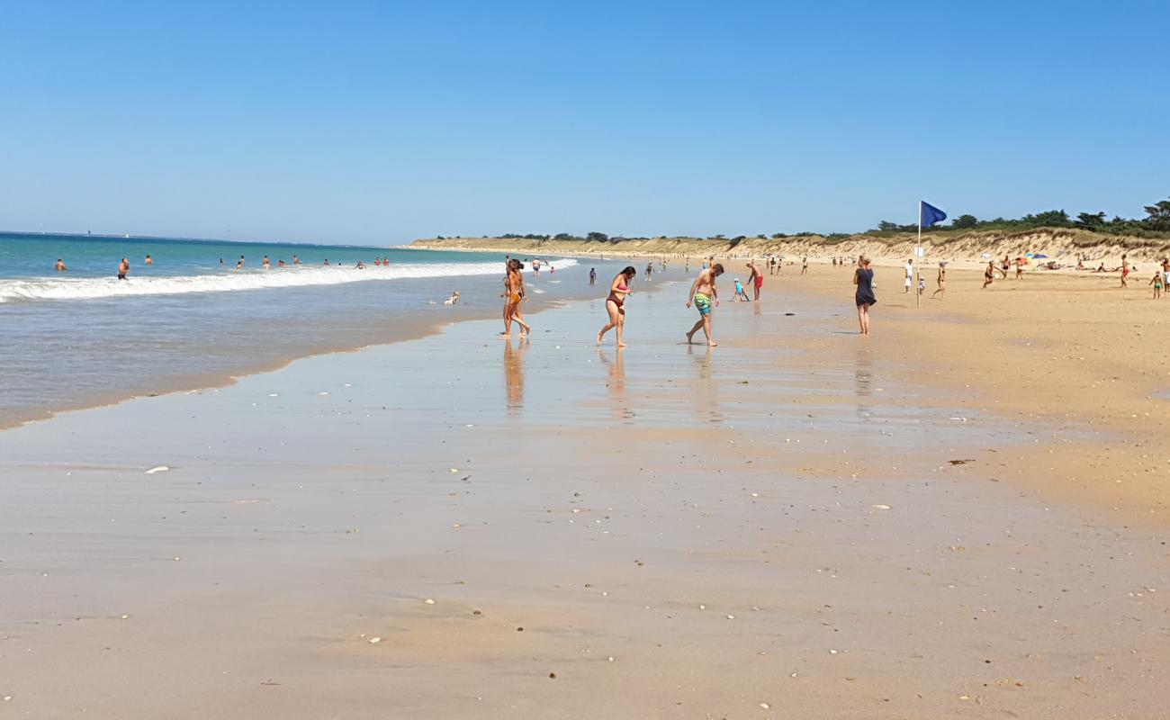 Photo of Conche of Whales beach with bright sand surface