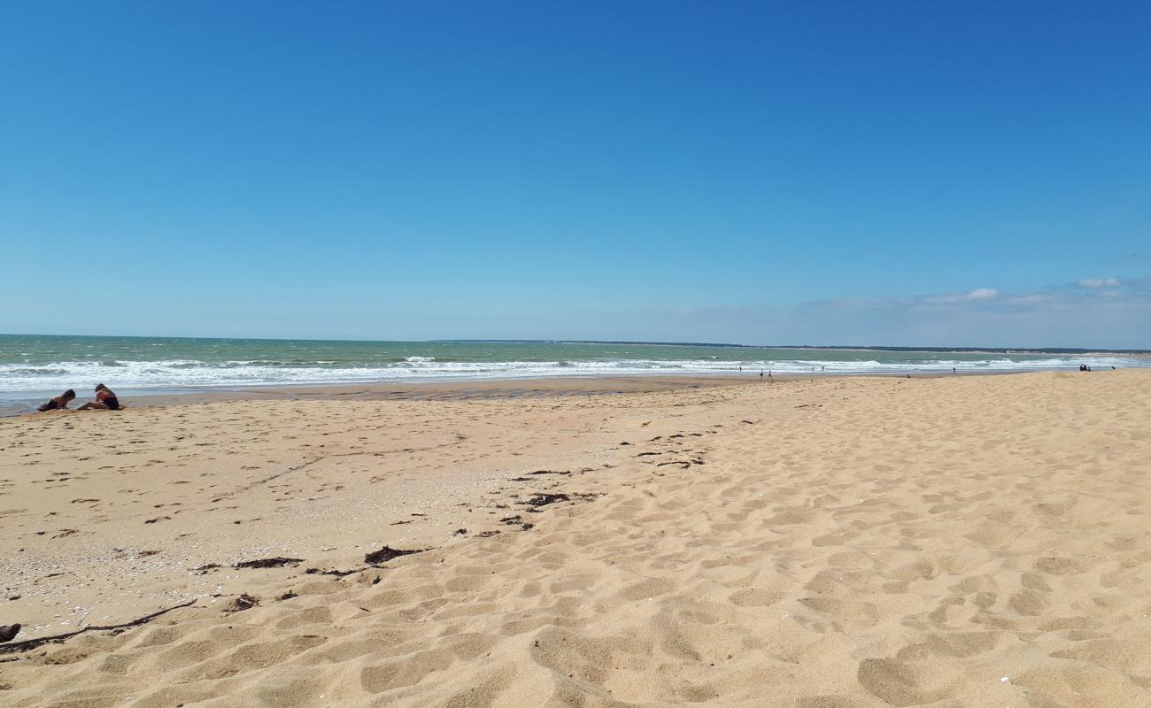 Photo of Terriere beach with bright sand surface