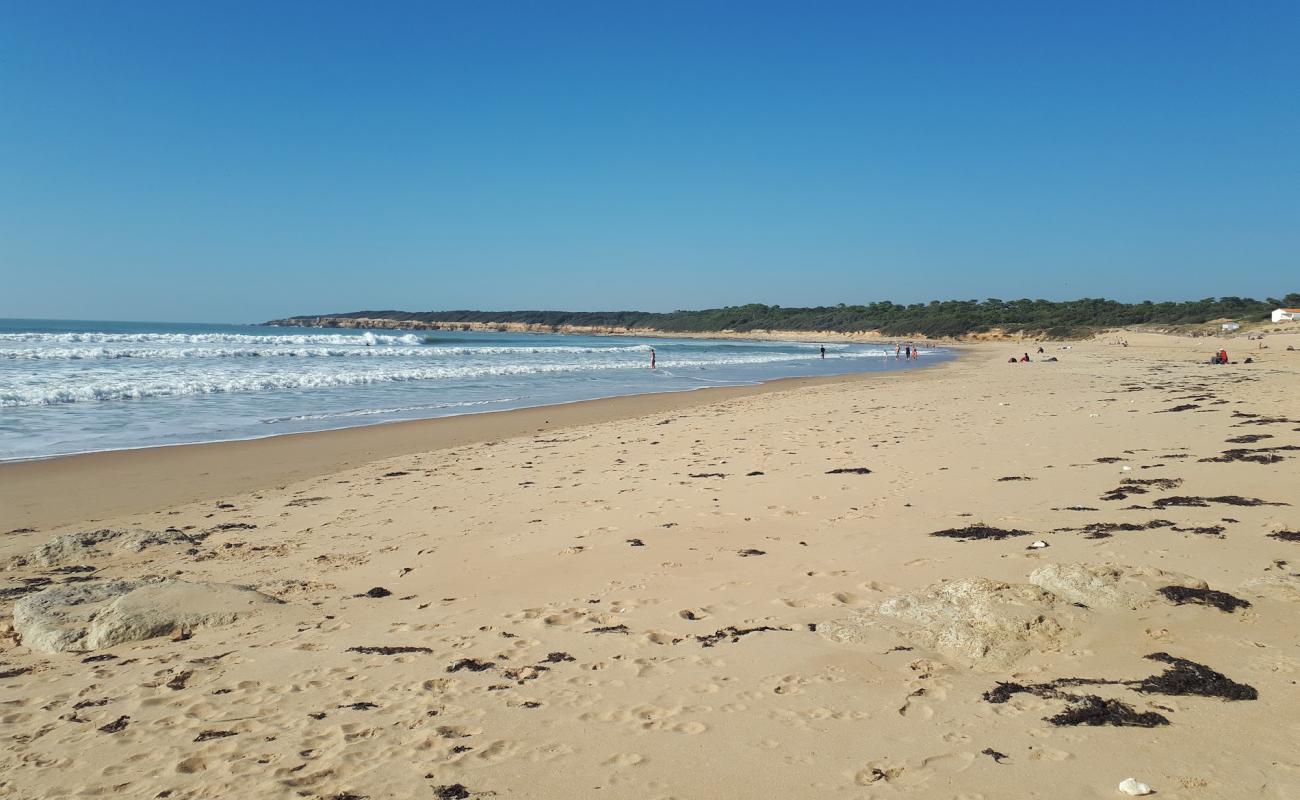 Photo of Mine beach with bright sand surface