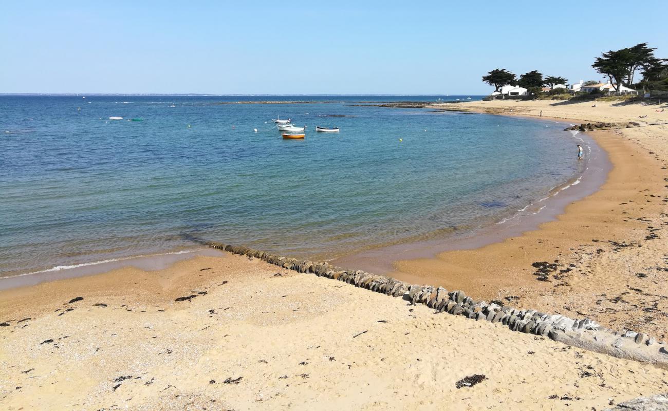 Photo of Madeleine beach with white sand surface