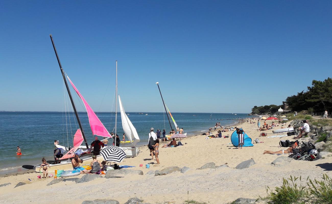 Photo of Clere beach with white sand surface