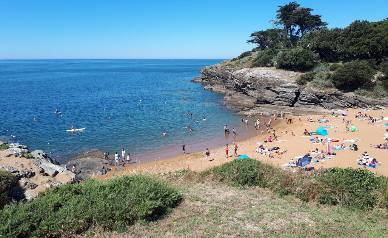 Photo of Porteau beach with bright sand surface