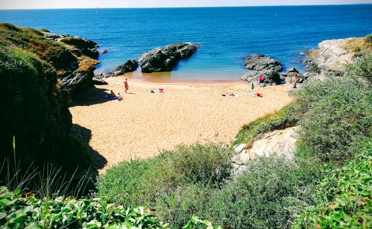 Photo of La Gauviniere beach with bright sand surface