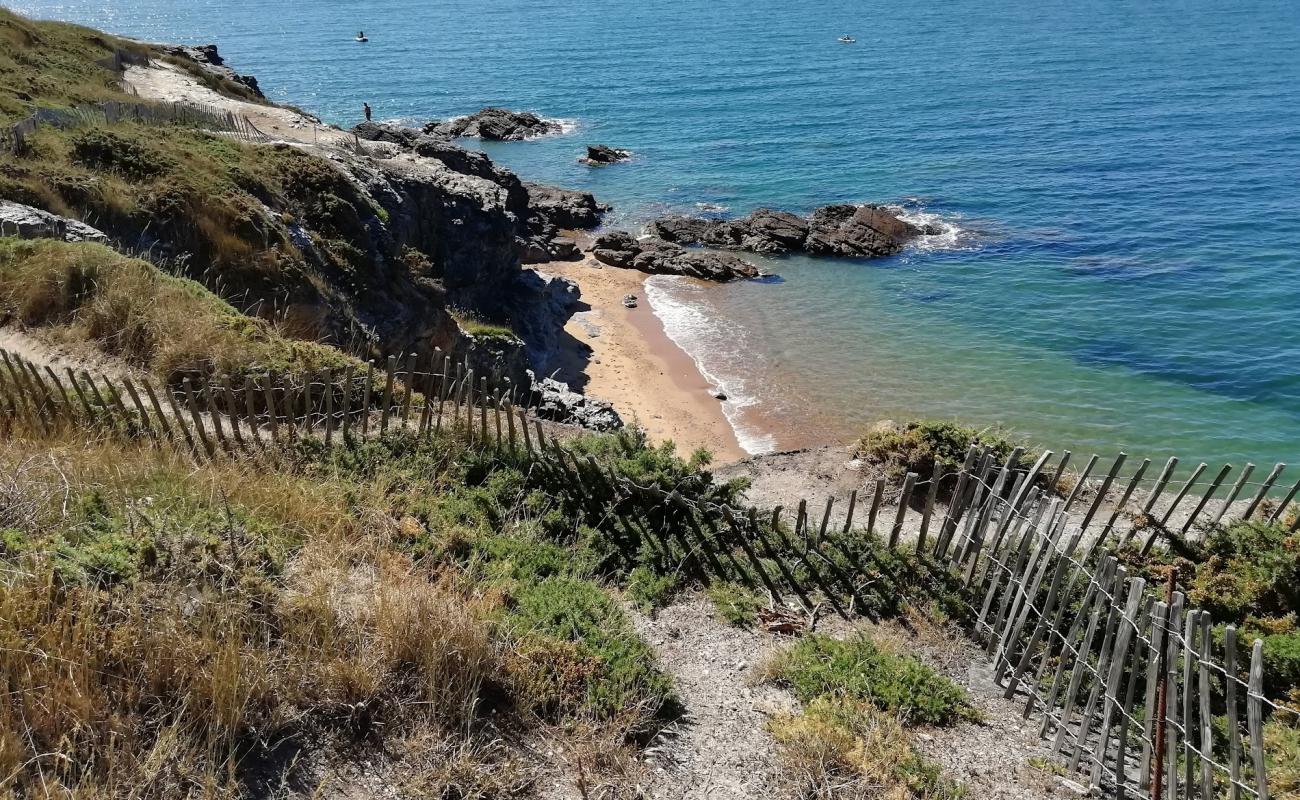 Photo of Raitrie beach with bright sand surface