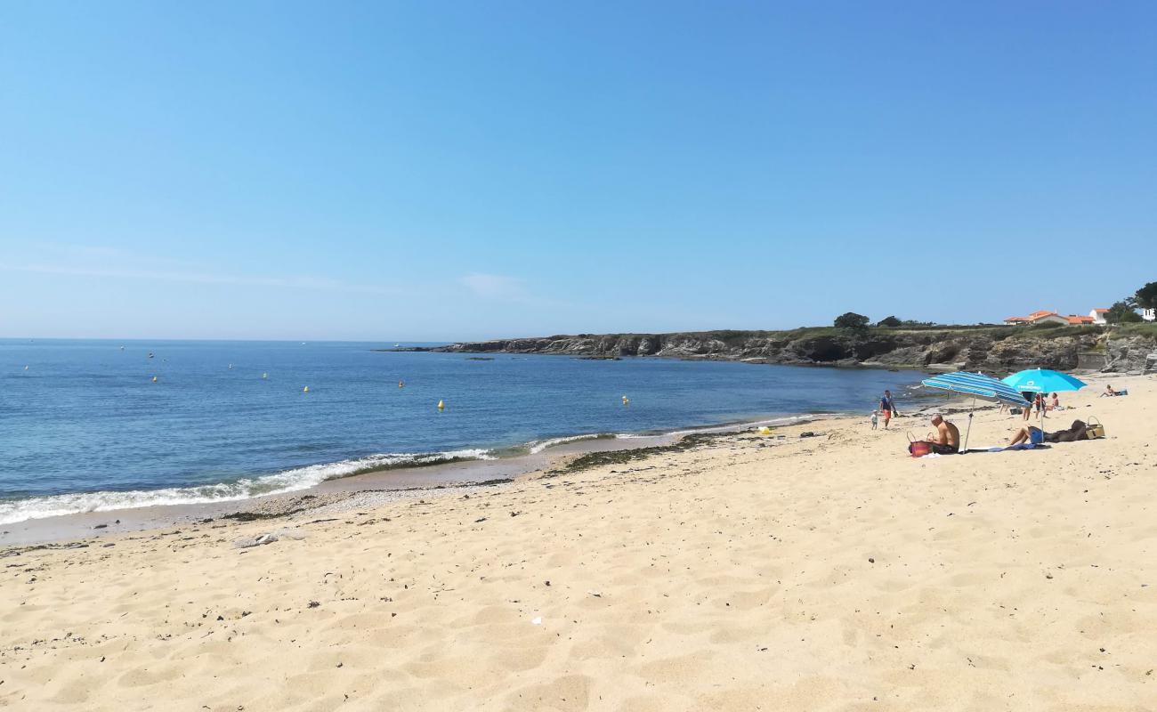 Photo of Anse du Sud beach with bright sand & rocks surface