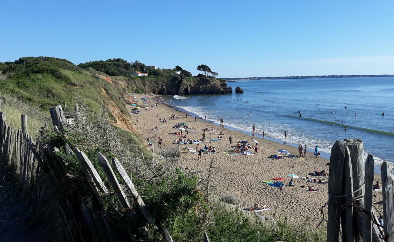 Photo of Gohaud beach with bright sand surface