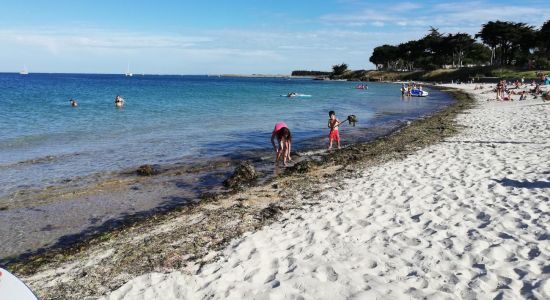 Plage de l'Aerodrome