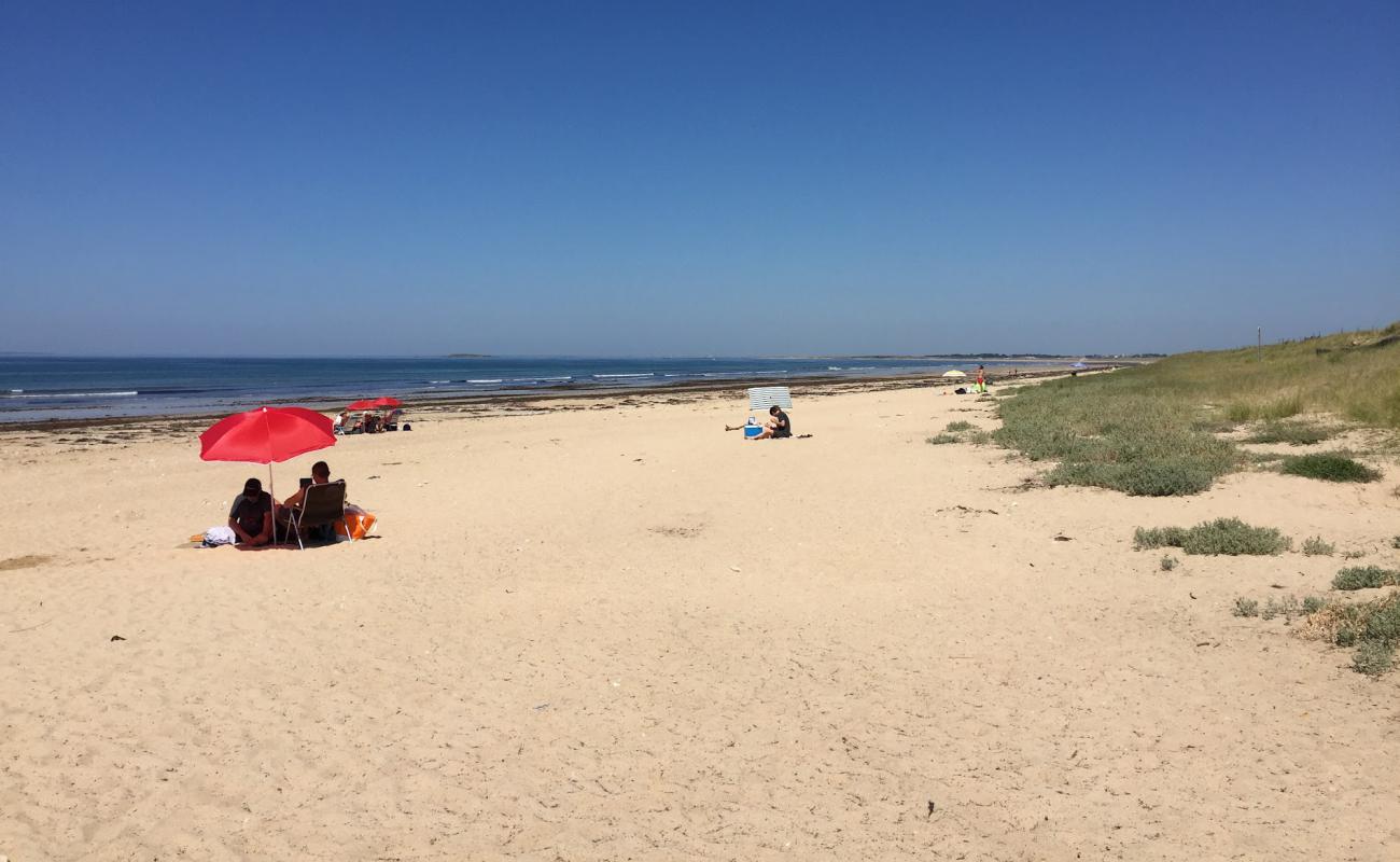 Photo of Beach Mane Guen with bright sand surface