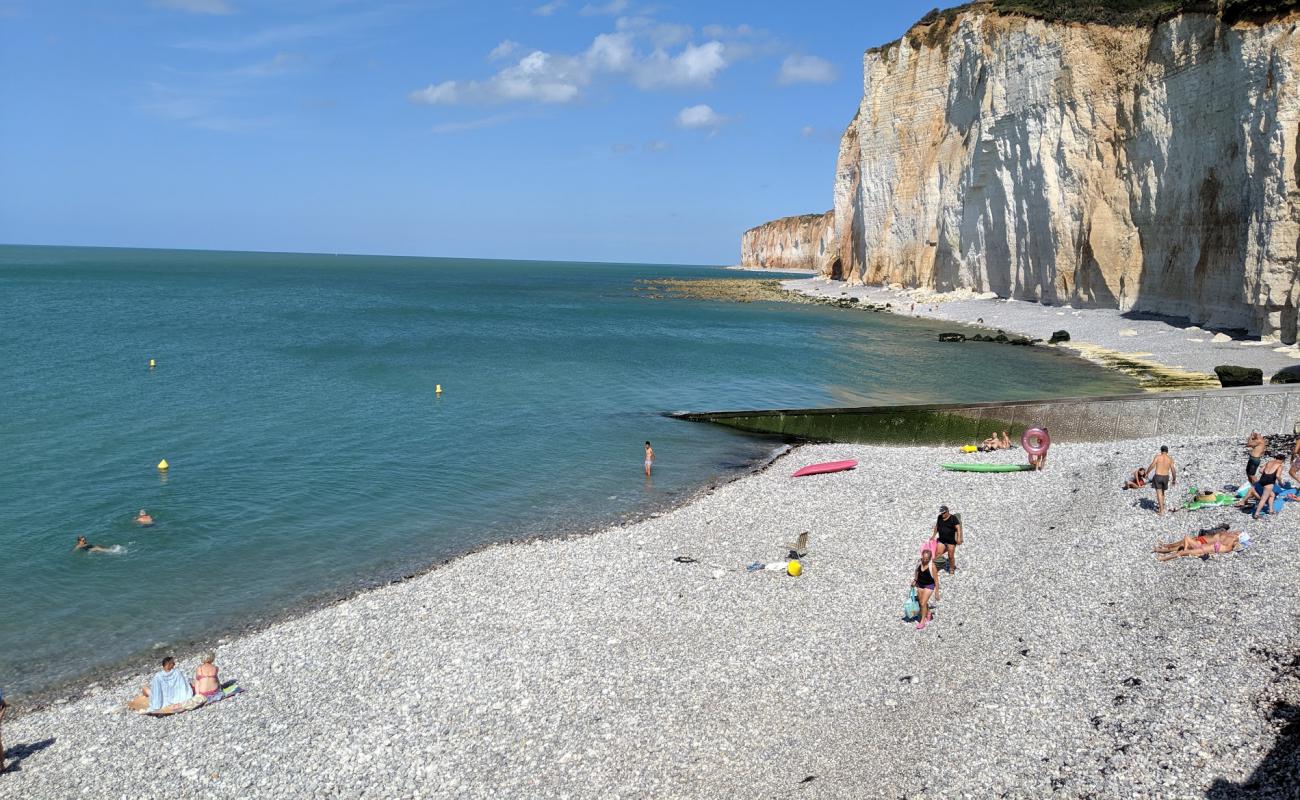 Photo of Plage des Grandes Dalles with rocks cover surface