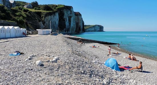 Plage des Petites Dalles