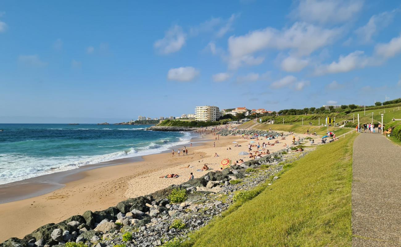 Photo of Milady Beach with bright fine sand surface