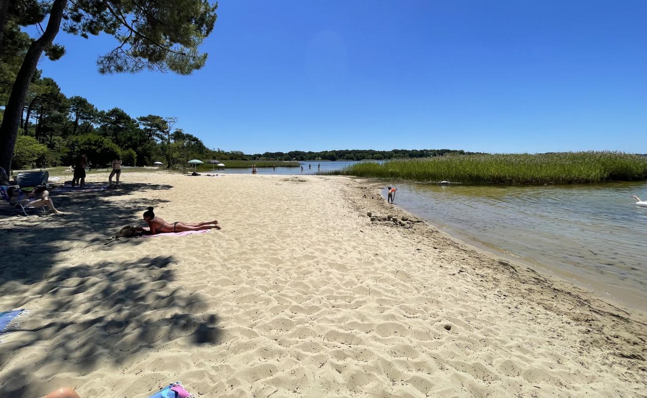 Photo of Sanguinet plage with bright sand surface