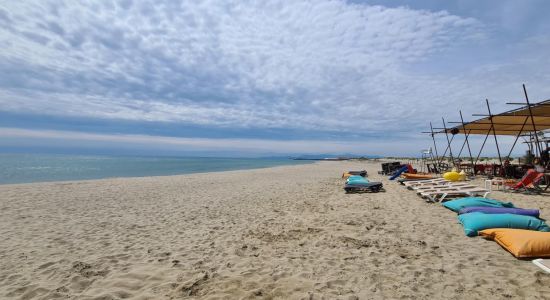 Leucate Beach