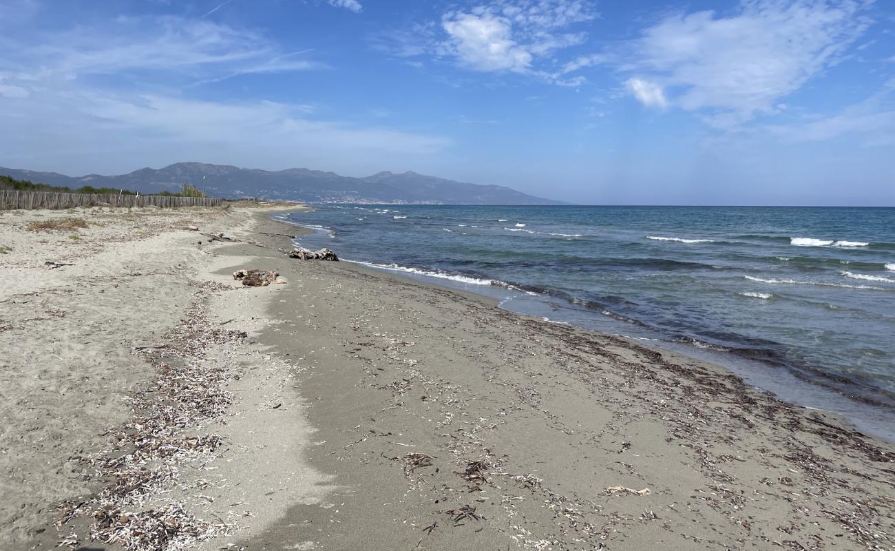 Photo of Plage de Pineto with bright sand surface