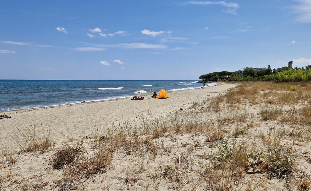 Photo of Plage de Tagliu Isolacciu with bright sand surface