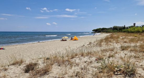 Plage de Tagliu Isolacciu