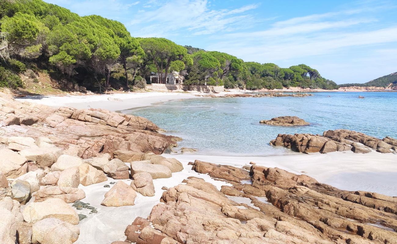 Photo of Plage de Capu Di Fora with bright sand surface