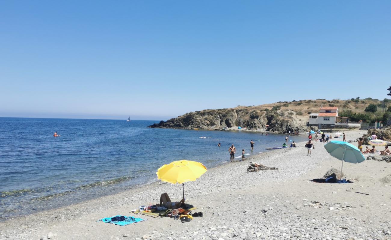 Photo of Plage Anse du Portell with gray pebble surface