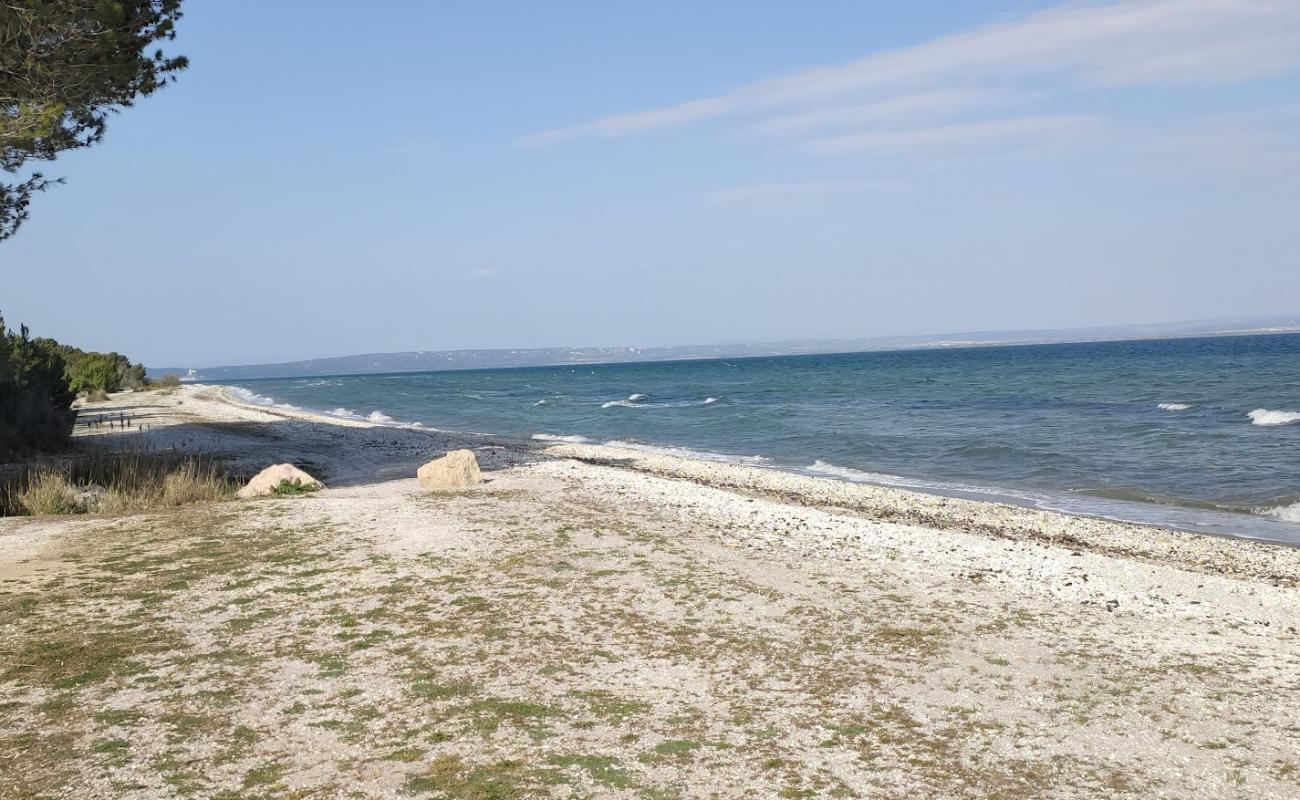 Photo of Plage de Figuerolles with bright shell sand surface