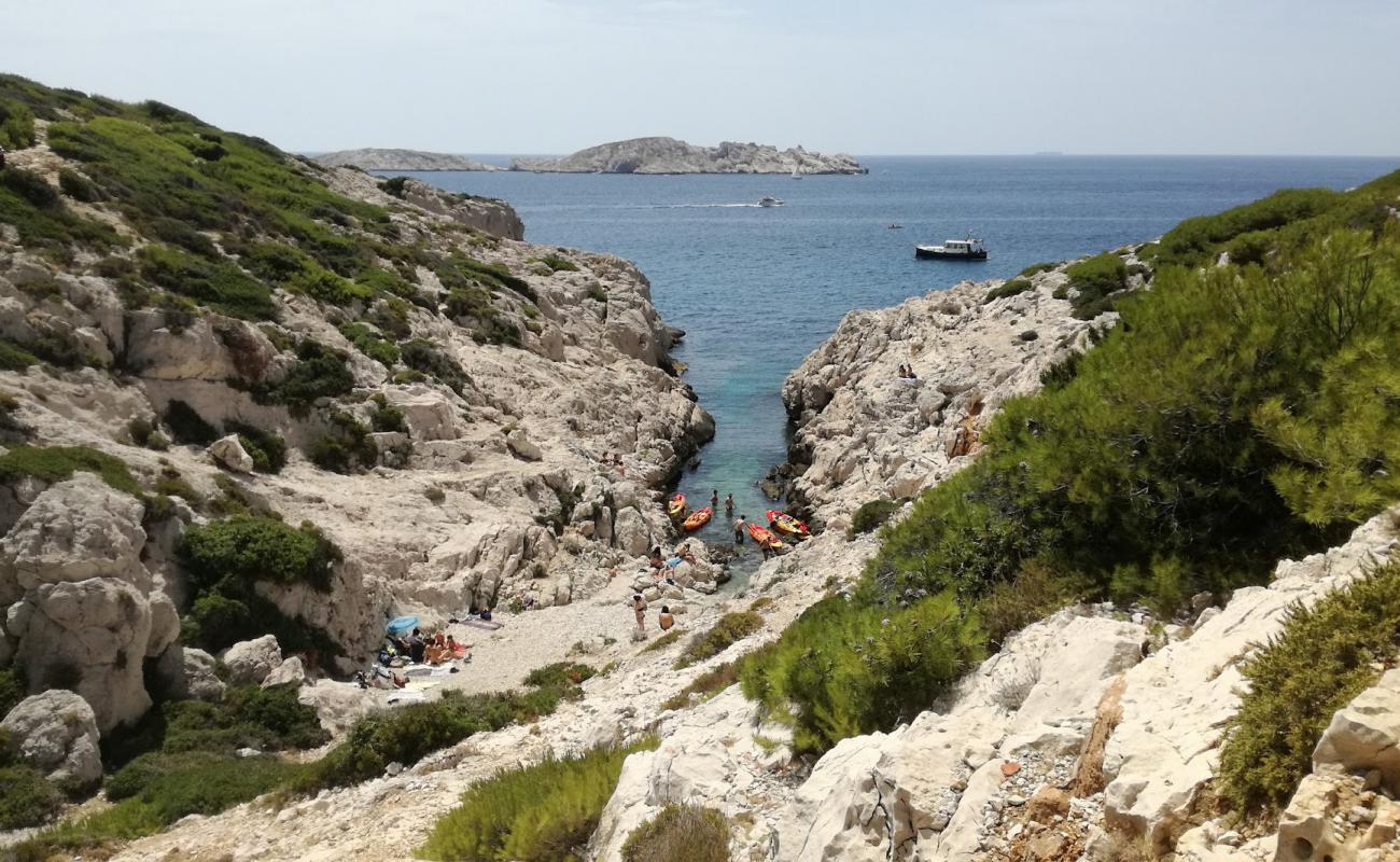 Photo of Calanque de la Mounine with rocks cover surface